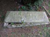 image of grave number 924297